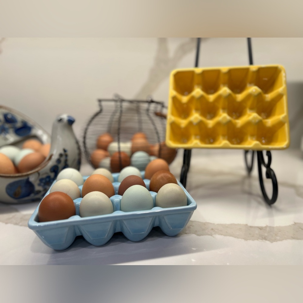 Set of 2 Ceramic Egg Crate Holder Yellow Blue Spring Easter Decor Everyday Use